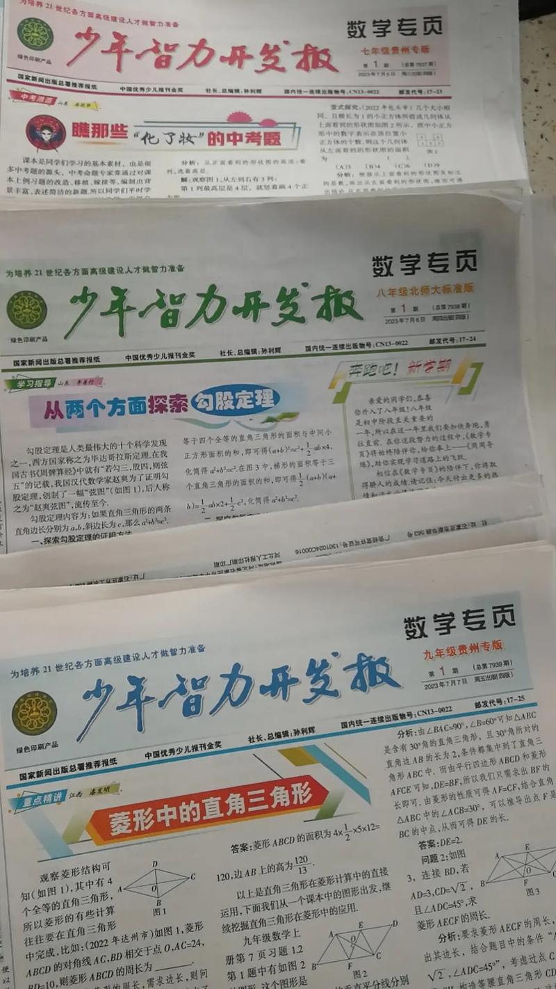 少年智力开发报数学答案（少年智力开发报 数学专页）