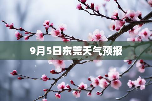 东莞天气预报15天（东莞天气预报15天天气）