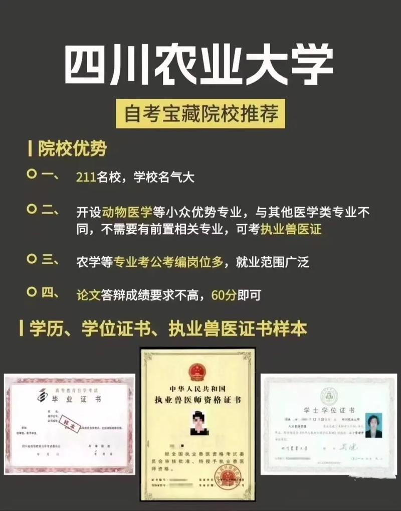 自考报名入口官网（专升本自考报名入口官网）