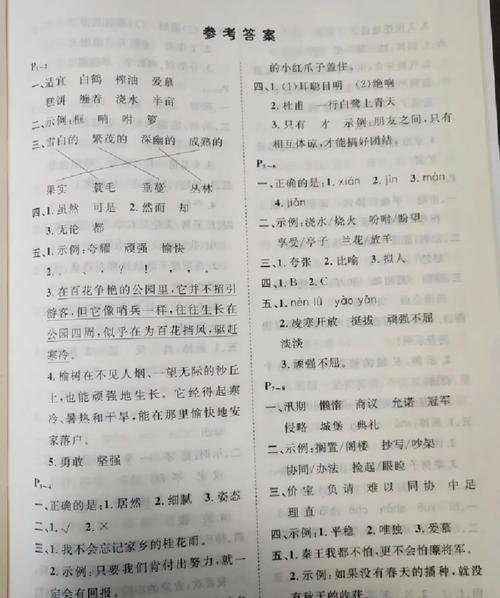 小学五年级暑假作业答案（2025暑假作业答案免费）