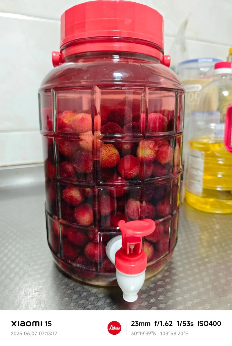 杨梅酒的做法（杨梅酒 做法）