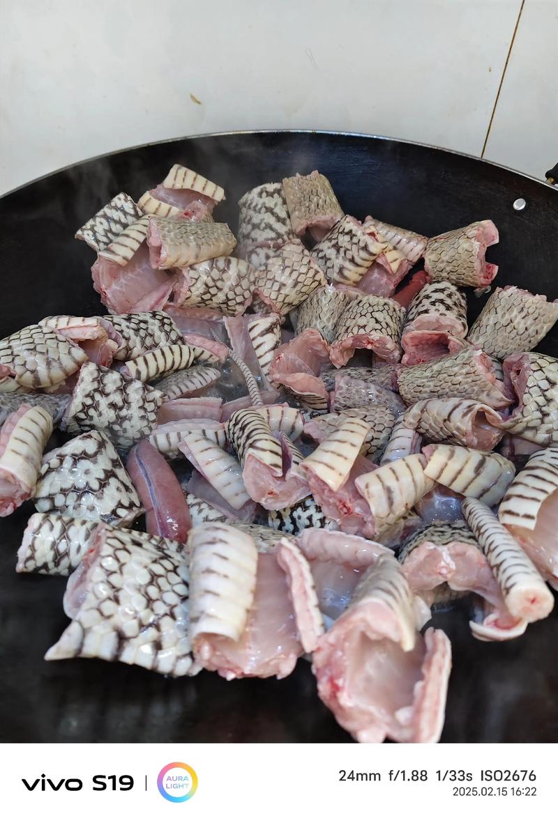 蛇肉的做法（蛇肉的做法大全）