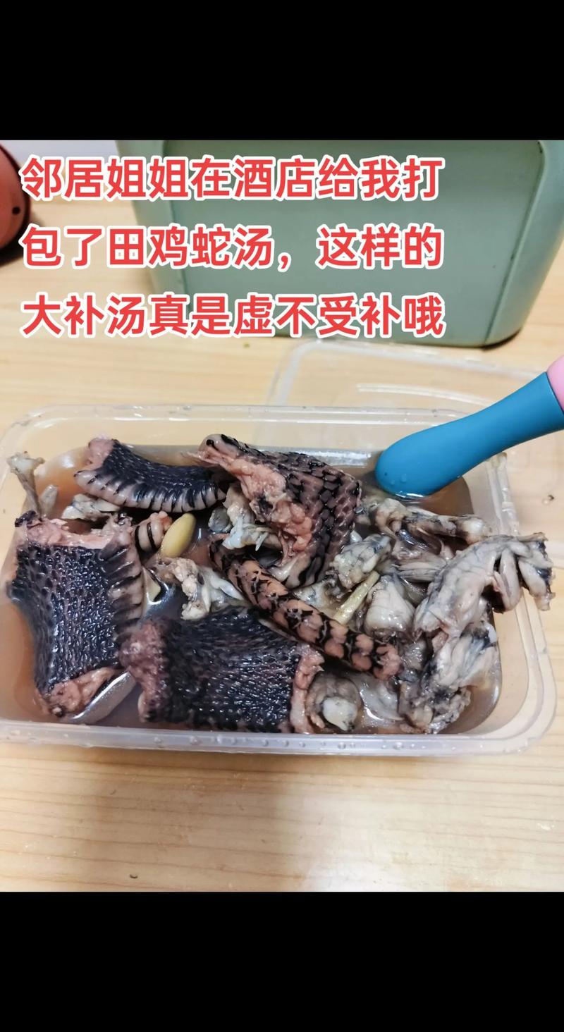 蛇肉的做法（蛇肉的做法大全）