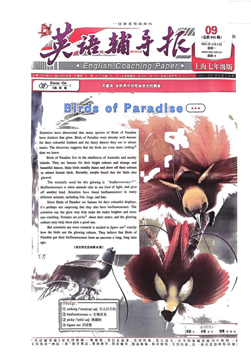 英语辅导（英语辅导报）