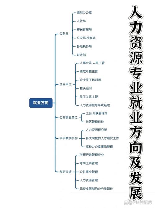 人力资源招聘系统（南开大学人力资源招聘系统）