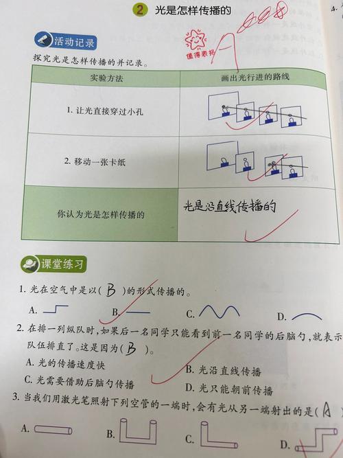七年级上册科学作业本a答案（七年级上册科学作业本答案人教版）