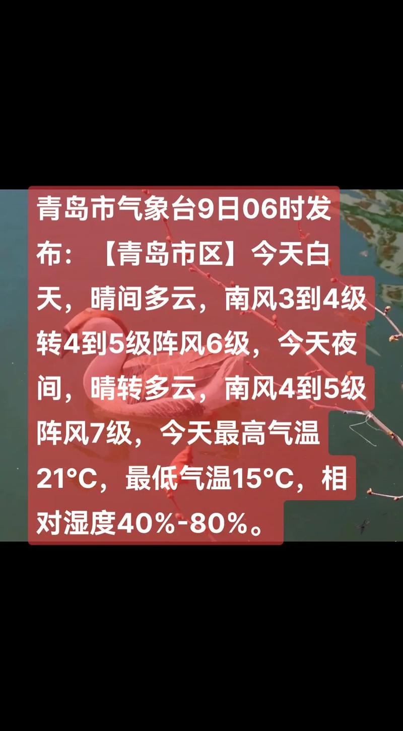 青岛天气（青岛天气预报7天一周）