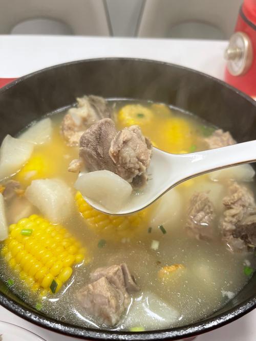 萝卜排骨汤的做法（萝卜排骨汤的功效作用）