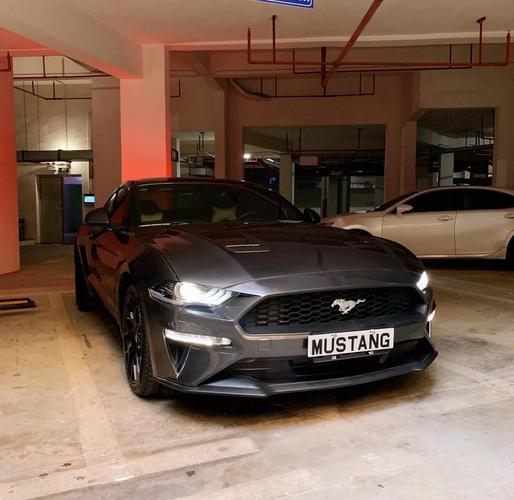 野马汽车官网（野马汽车官网关闭）