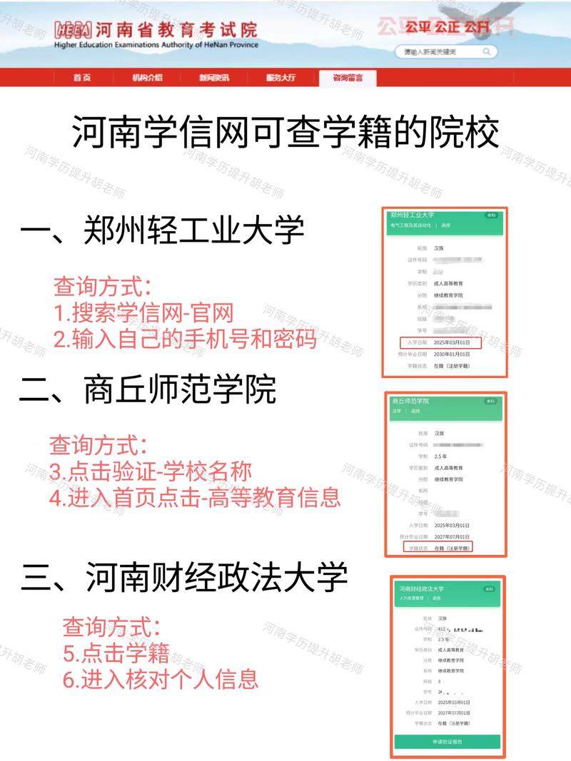 自学考试官网（河南省高等教育自学考试官网）