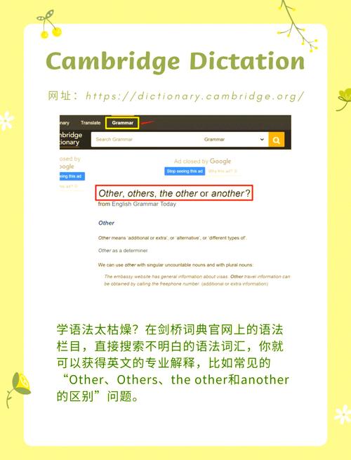 网上学英语（初中英语网课哪个平台比较好）