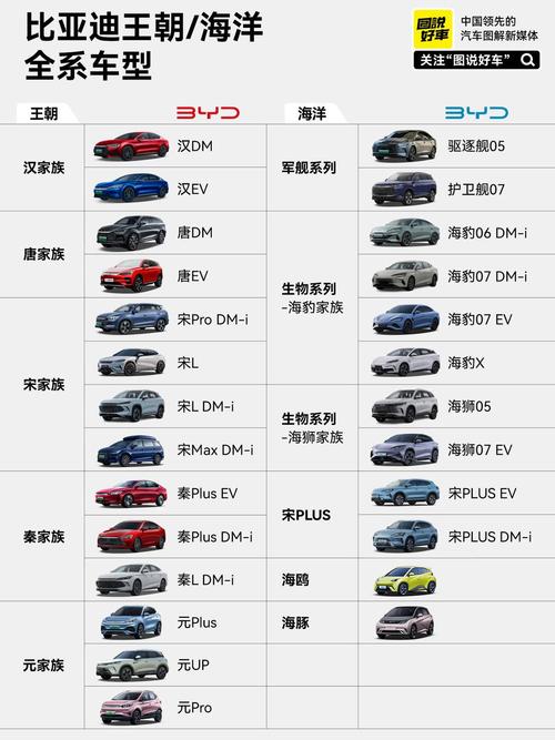 比亚迪新能源汽车（比亚迪新能源汽车价格表）